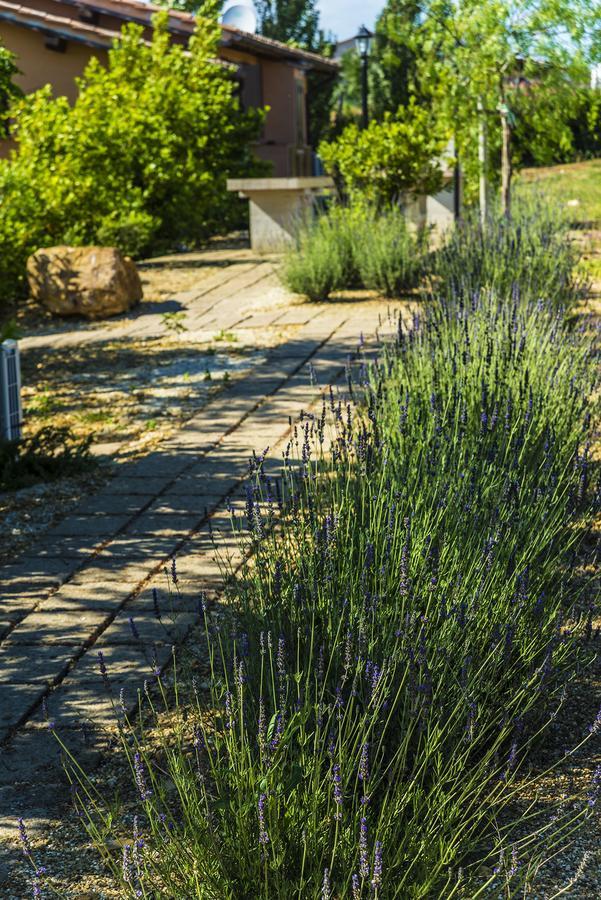 Agriturismo Poggio Di Maremma Пеша-Романа Екстер'єр фото